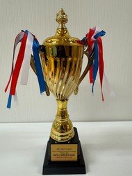 Asia Kids Talent -Kids Teenagers Year Of The Horse Contest 2026-活躍藝術指導獎(金獎)